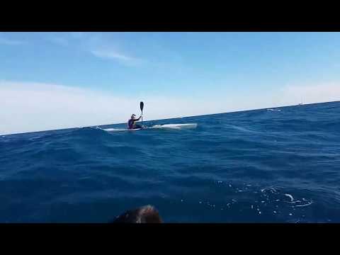 Surfski downwind