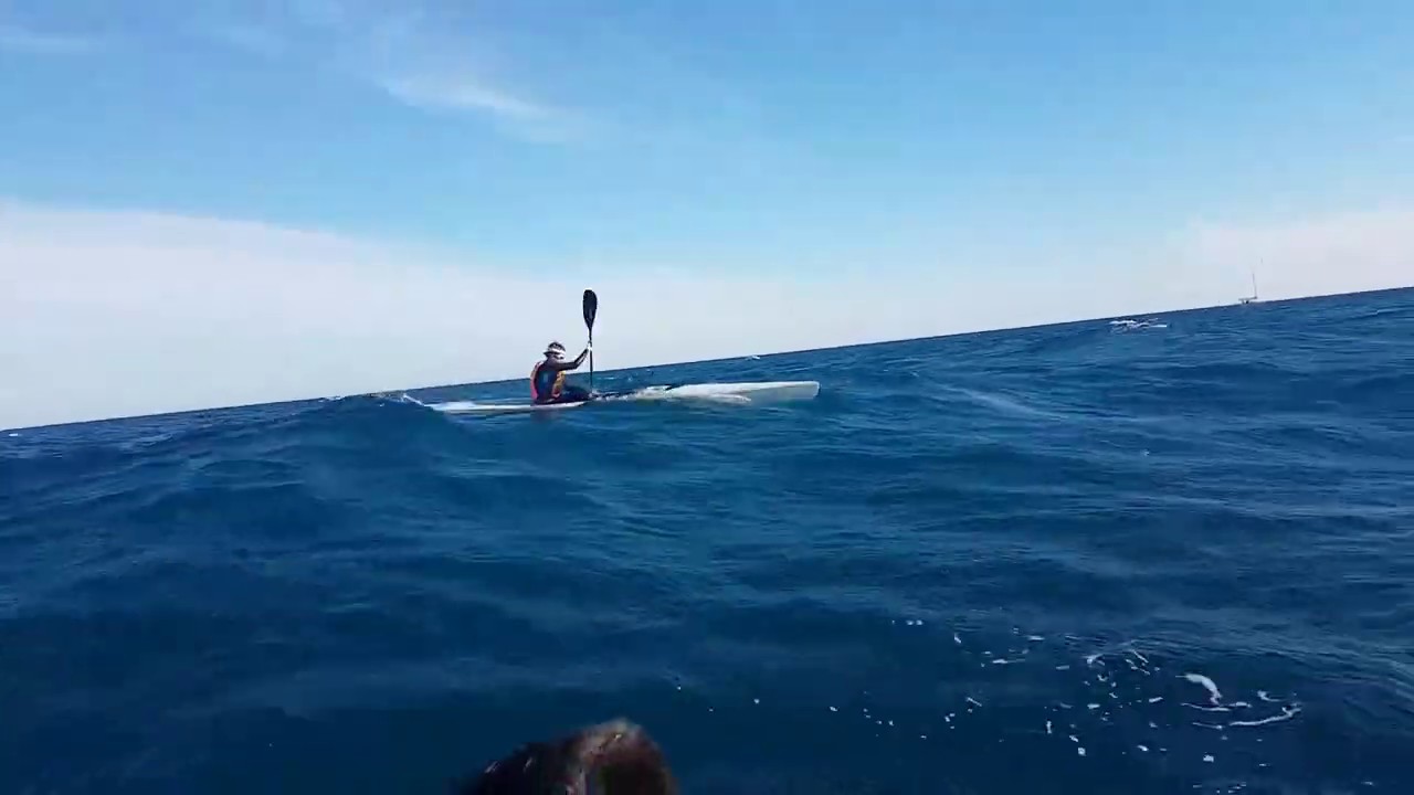 Surfski downwind