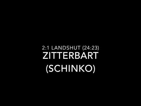 Junghaie (DNL) vs. EV Landshut, 2:4, 17.09.2017