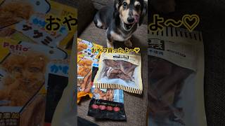 れおんにおやつ購入♡【親バカすいません】#ダックス #可愛いわんこ