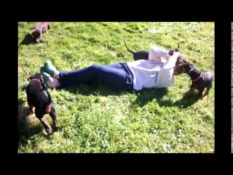 2. BB - Ch. F'Willow du Reflet des Songes x Arrbass Najat