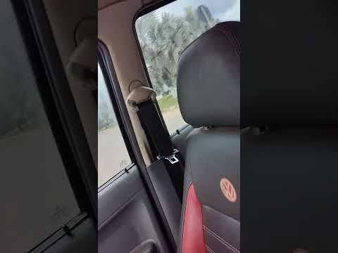 chegamos na Querência amada Mato grosso