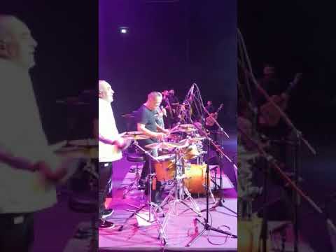 Jose cortes gipsy kings live