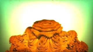 Alencastro - Super Flying Energetic (Audio)