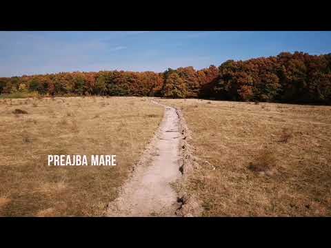 Testare traseu TBF - Preajba Mare