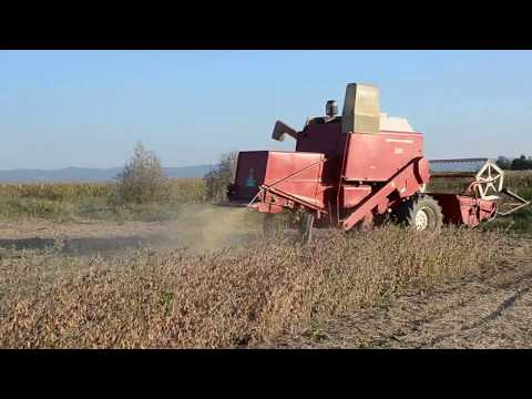 International  321 IHC soybean harvest