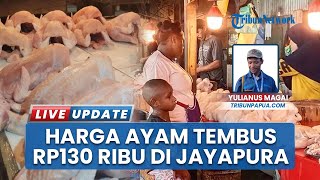 Sehari setelah Tahun Baru 2026 Harga Ayam Hidup di Jayapura Naik Tajam, Pedagang Kehabisan Stok