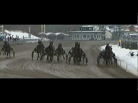 Gulddivisionen, Final 2013_Strong Boy D.E. 1:16,1_Joakim Lövgren