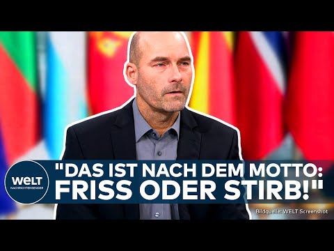 UKRAINE-KRIEG: Trump dealt mit Putin - an Selenskyj vorbei! "Da ist man in Kiew mächtig bedient!"