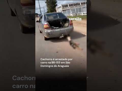 Cachorro é arrastado por carro na BR-153 em São Domingos do Araguaia
