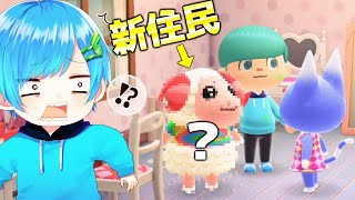 【あつ森】60年の時を経て、やってきた”ぴえん顔の新住民”がヤバいwwwww　【ちゃちゃまる】
