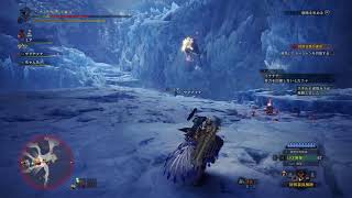 アイスボーンを嗜む