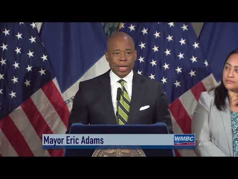 NYC Business Improvement District