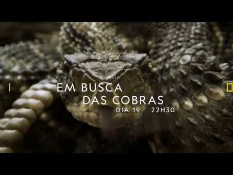 Trailer de Em Busca das Cobras (2020)