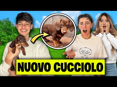 MY MOM GAVE ME MY FIRST PUPPY! *Meet Lilli*