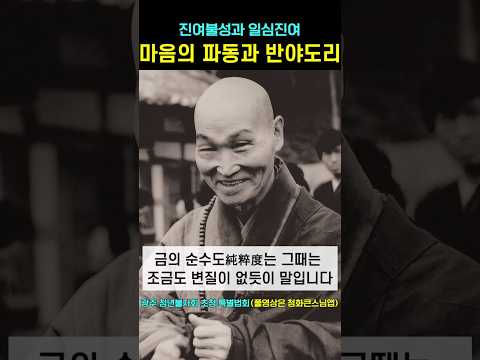마음의 파동과 반야의 도리 #청화스님