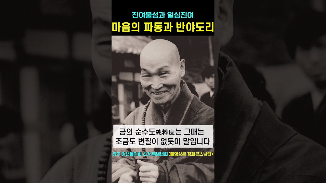 마음의 파동과 반야의 도리 #청화스님