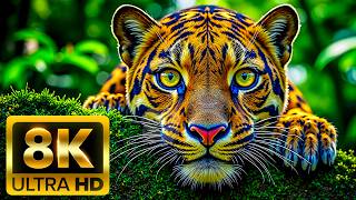 🦁 ULTIMATE ANIMAL FOOTAGE IN 8K ULTRA HD (60FPS) – The Amazing World of Wildlife