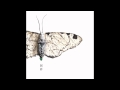 Fennesz - Shinu