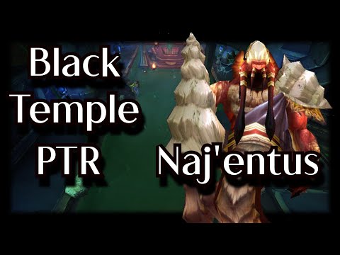 TBC Classic Guide - Black Temple(BT) Guide - Naj'entus