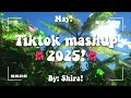 TikTok Mashup 2025