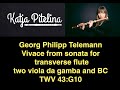 Georg Philipp Telemann Sonata for transverse flute, two viola da gamba and BC in G, TWV43:G10 Vivace