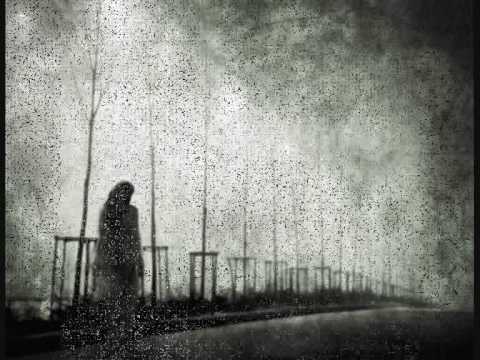 download lagu mp3 mp4 Grave Flowers, download lagu Grave Flowers gratis, unduh video klip Grave Flowers