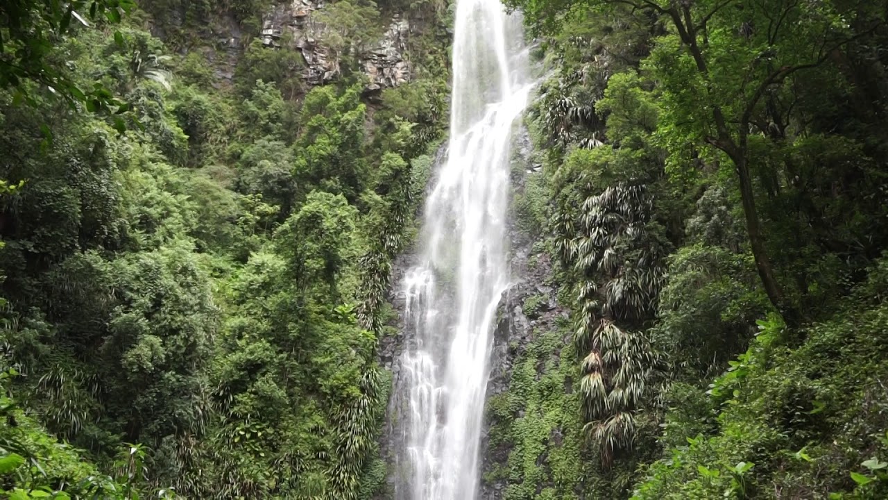 Discover a captivating peek of Larapinta Falls.