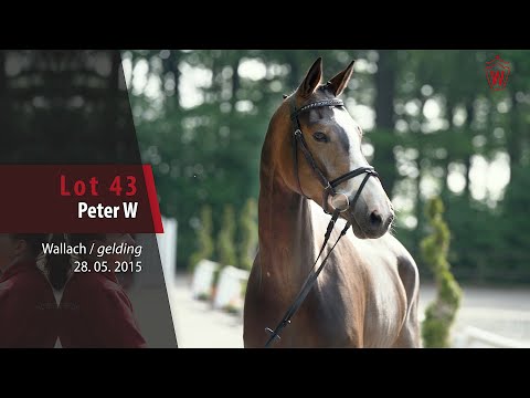 43 Peter W Wallach v. Pilothago - Calido