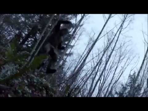 Arrow - 2x15 Clip | Oliver Training