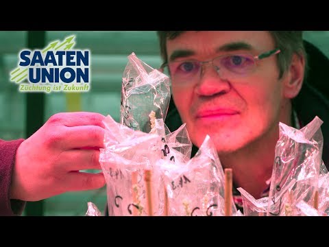 Saaten-Union: Imagefilm der HYBRO Saatzucht