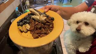 How to home cook for your dog
