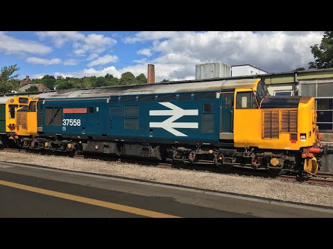 BR Large Logo 37558 (424) & 975025 ‘Caroline’ At Exeter St Davids - 5Z02 - 24th July