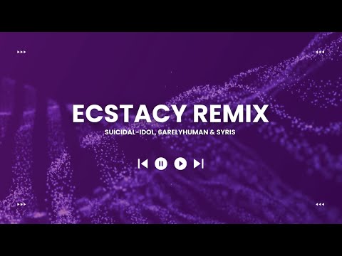 SUICIDAL-IDOL, 6arelyhuman, syris - ecstacy (remix) LYRICS