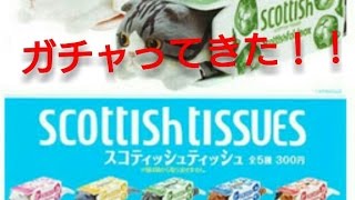 【ガチャ】『スコティッシュティッシュ』をガチャってきた！