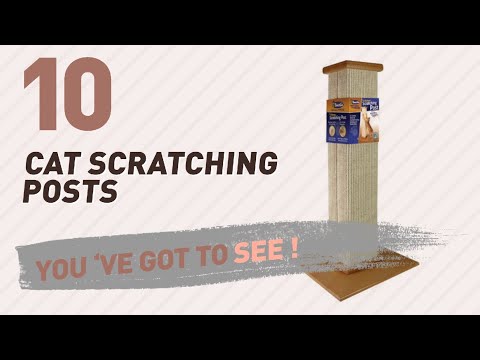 Top 10 Cat Scratching Posts // Pets Lover Channel Presents: