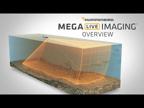 Mega Live Imaging Explained Humminbird