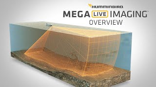 What is MEGA Live Imaging™ & How to Read It | Humminbird