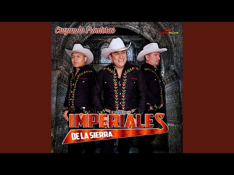 Voy a Quererte Tanto