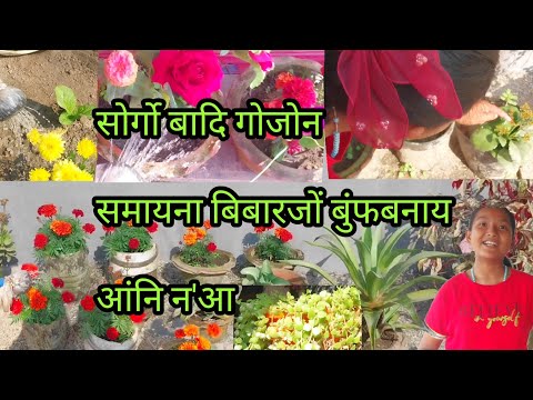 Beautiful flowers in North East India // Bibiana officiaL//@JeniaBrahmaa