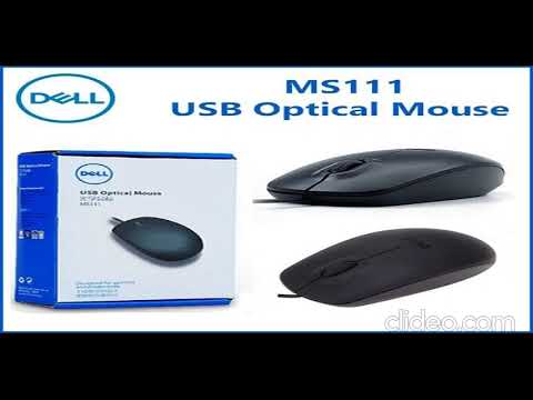 DELL USB Optical Mouse