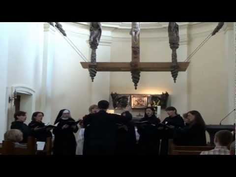 In. Dum clamarem, MSG Clamaverunt Iusti