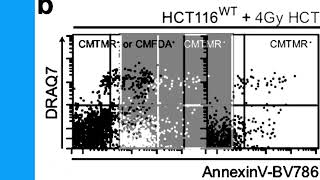 Download lagu E789AF0347D627B075977FAEECF4A5#1 mp3
