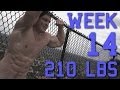 Week 14 - 210 lbs, Gym Attitudes and Subscriber Workout
