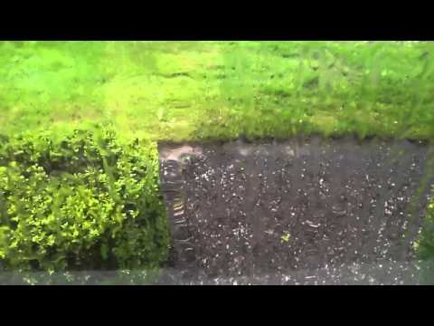 Thunderstorm/Hail in September, Everett, WA