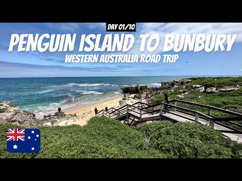 Day 1 Penguin Island to Bunbury | Western Australia Road Trip from Perth