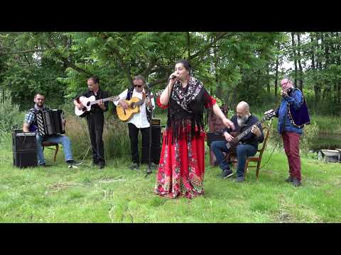 Perła i Bracia - stream 12 - Dziki ptak