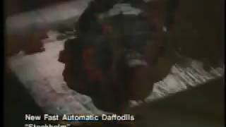 Music video thumbnail preview for New Fast Automatic Daffodils - Stockholm by New Fast Automatic Daffodils