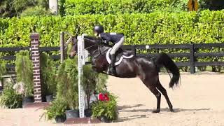 It Wasn’t Me &amp; Carsyn Korotkin Medium Pony Hunter Holiday II 2024