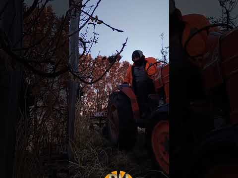 Nuestro 2024💯 #fruticultura #fruticola #chichinales #rionegro #patagonia #argentina 🇦🇷✨